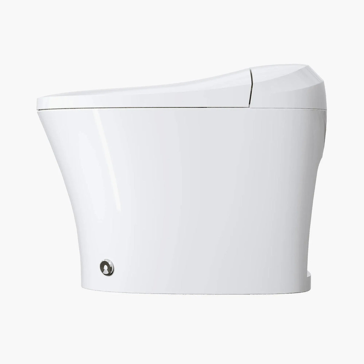 12 Inch Rough In Bidet Toilet with Automatic Flush Model T15 HOROW