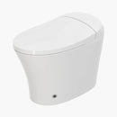 HOROW Best Bidet Toilet Automatic Flush Toilet Model T20