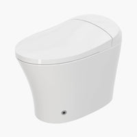 HOROW Best Bidet Toilet Automatic Flush Toilet Model T20