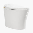 HOROW Best Bidet Toilet Automatic Flush Toilet Model T20