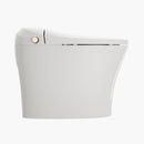 HOROW Best Bidet Toilet Automatic Flush Toilet Model T20