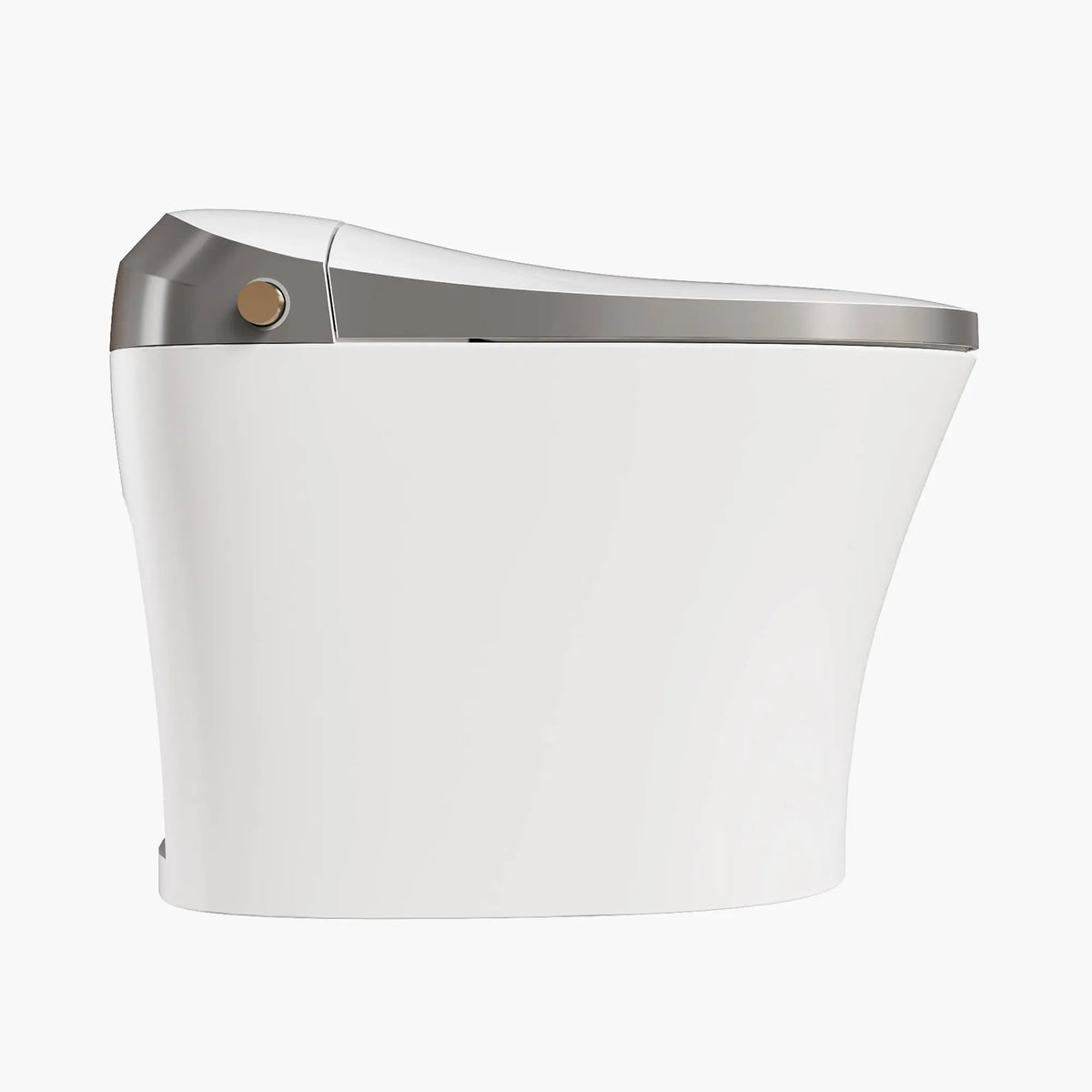 HOROW Best Smart Toilet Warm Water Bidet Toilet Model T20Y HOROW