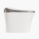HOROW Best Smart Toilet Warm Water Bidet Toilet Model T20Y