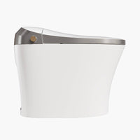 HOROW Best Smart Toilet Warm Water Bidet Toilet Model T20Y