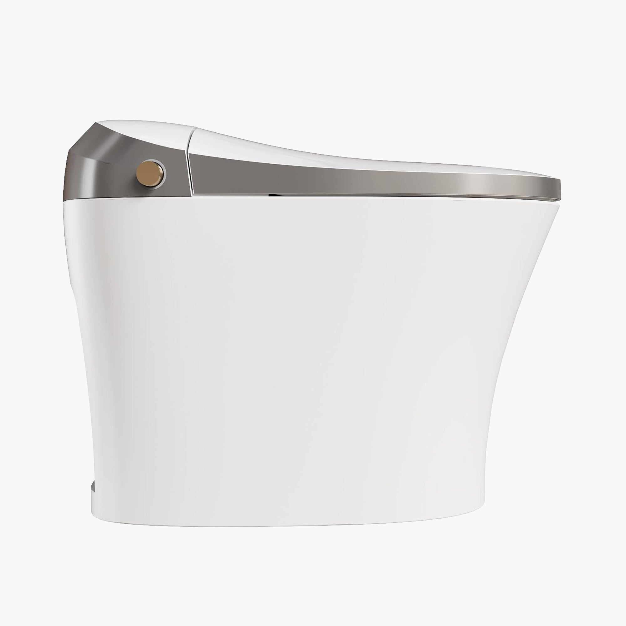 HOROW Best Smart Toilet Warm Water Bidet Toilet Model T20Y