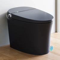 Black Smart Toilet with Bidet Seat For 12 Inch Rough In Model T36