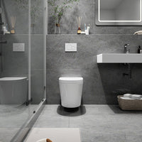 HOROW Modern Wall Hung Toilet With Soft Closing Toilet Seat Model TG02W