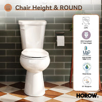 2 Piece Toilet with Single Flush and Round Bowl – Model HWTT-R01S10