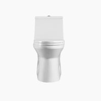 HOROW Best Floor Mounted Elongated Seat One Piece Toilet Model HWMT138