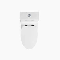HOROW Best Floor Mounted Elongated Seat One Piece Toilet Model HWMT138