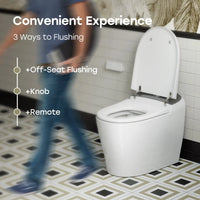 Factory HOROW T03-10 10 Inch Rough In Bidet Toilet with Tank & Pump