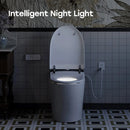 Factory HOROW T03-10 10 Inch Rough In Bidet Toilet with Tank & Pump