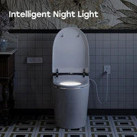 Factory HOROW T03-10 10 Inch Rough In Bidet Toilet with Tank & Pump