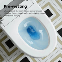 Factory HOROW T03-10 10 Inch Rough In Bidet Toilet with Tank & Pump