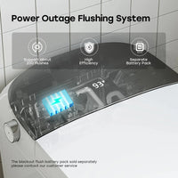 Factory HOROW T03-10 10 Inch Rough In Bidet Toilet with Tank & Pump