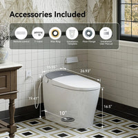 Factory HOROW T03-10 10 Inch Rough In Bidet Toilet with Tank & Pump