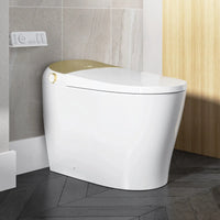 Best Quality HOROW T03G Smart Toilet with Golden Button for 12 Inch Rough In