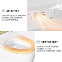 Best Quality HOROW T03G Smart Toilet with Golden Button for 12 Inch Rough In