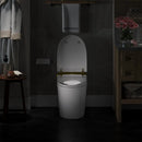 Best Quality HOROW T03G Smart Toilet with Golden Button for 12 Inch Rough In