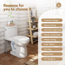 Single Flush Toilet with ADA Seat Height for 12 Inch Rough In Model T0352W