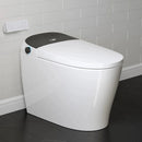 Wholesale HOROW T03B Black Smart Toilet with Single Flush
