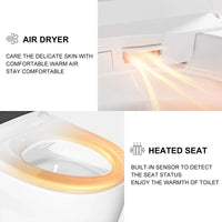 Wholesale HOROW T03B Black Smart Toilet with Single Flush